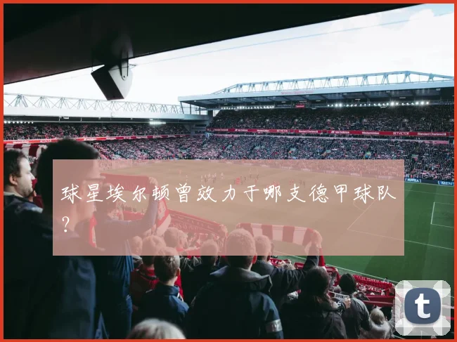球星埃尔顿曾效力于哪支德甲球队？