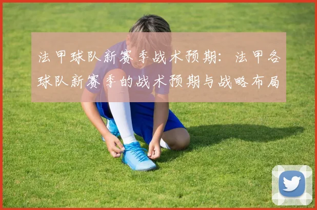 法甲球队新赛季战术预期：法甲各球队新赛季的战术预期与战略布局