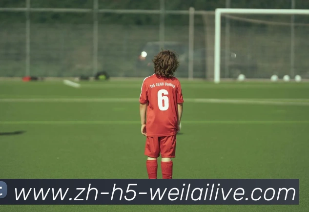 多媒体互动体验