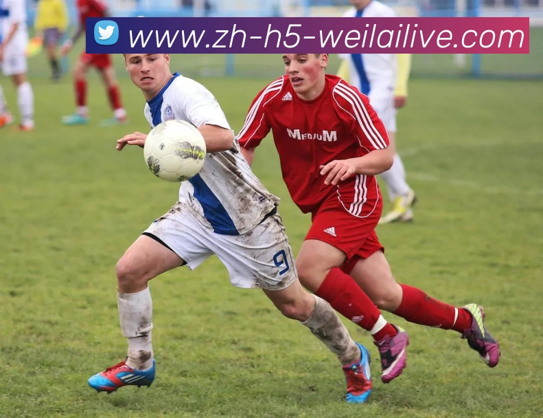 纬来体育APP 高清赛事图